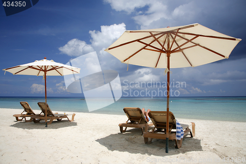 Image of Beach Scene