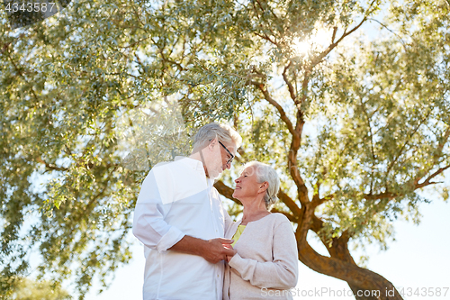 Image of happy senior couple at summer park