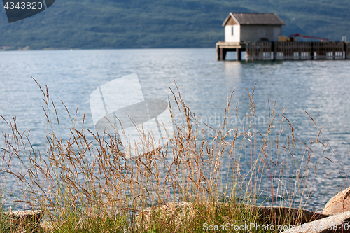 Image of Norway fjord shore