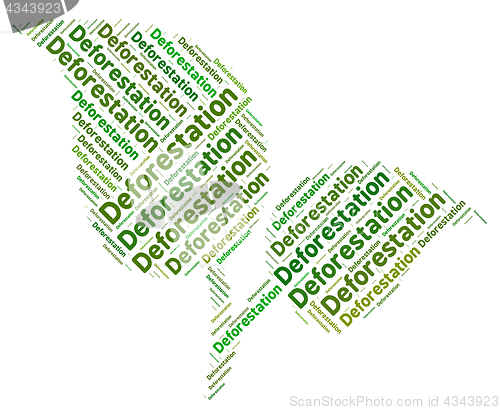 Image of Deforestation Word Shows Clear Forests And Copse