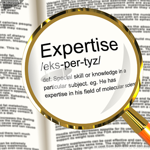 Image of Expertise Definition Magnifier Showing Skills Proficiency And Ca