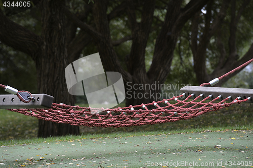 Image of empty cable hammock in a park