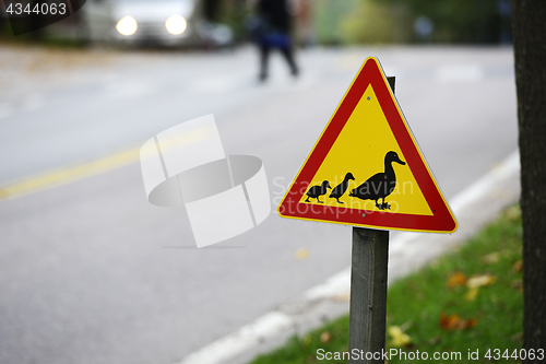 Image of road sign, ducks passing the road