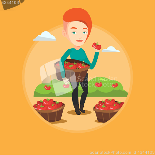 Image of Farmer collecting tomatos vector illustration.