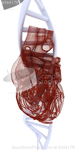 Image of DNA and heart medical concept. 3d illustration