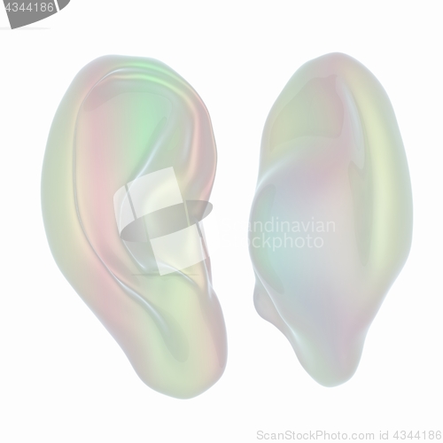 Image of Ear model. 3d illustration