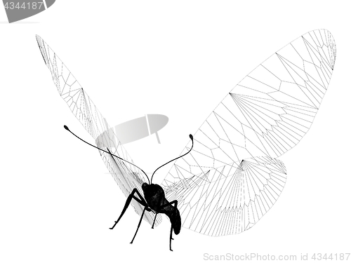 Image of line butterfly. 3d illustration