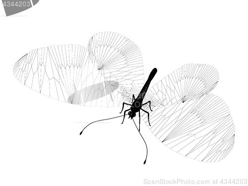 Image of line butterfly. 3d illustration