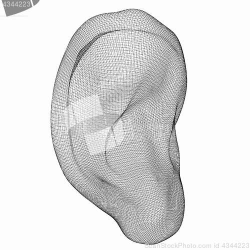 Image of Ear digital model. 3d illustration