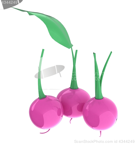 Image of Small garden radish isolated on white background. 3d illustratio