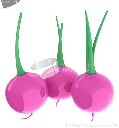 Image of Small garden radish isolated on white background. 3d illustratio