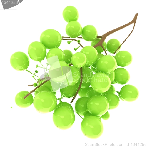 Image of Healthy fruits Green wine grapes isolated white background. Bunc