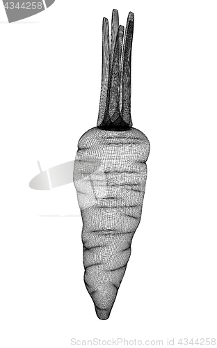 Image of carrot. 3D illustration