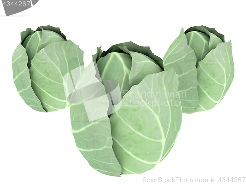 Image of green cabbage isolated on white background. 3d illustration