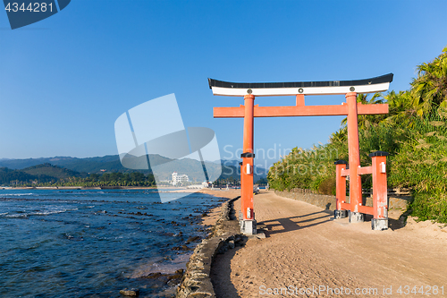 Image of Red Torii in Aoshima Shrine