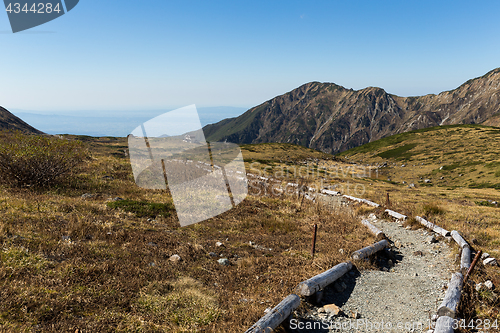 Image of Hiking trail in Mount Tate of Japan