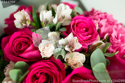 Image of Red roses