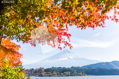 Image of Lake Kawaguchi and Mount Fuji in Autumn