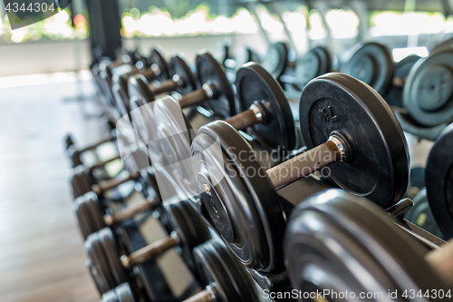 Image of Dumbbell in gym