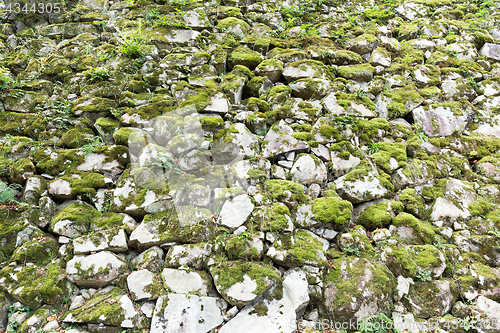 Image of Moss on the rock wall