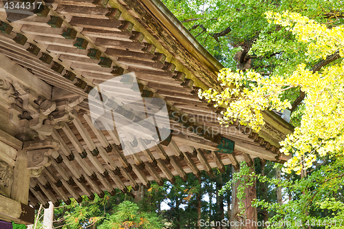 Image of Wooden temple and tree