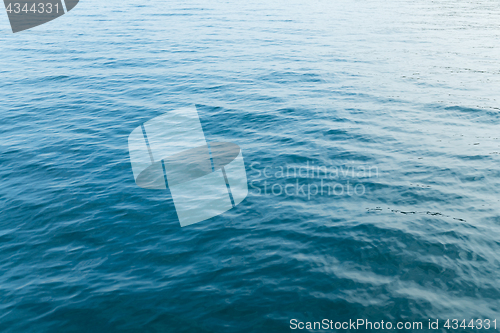 Image of Sea and sunshine