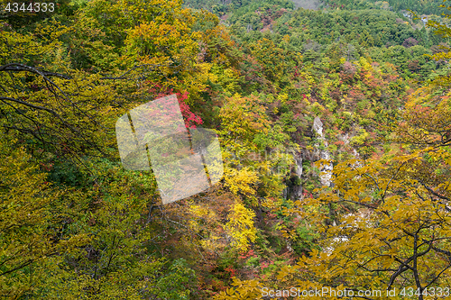 Image of Naruko Gorge in autumn
