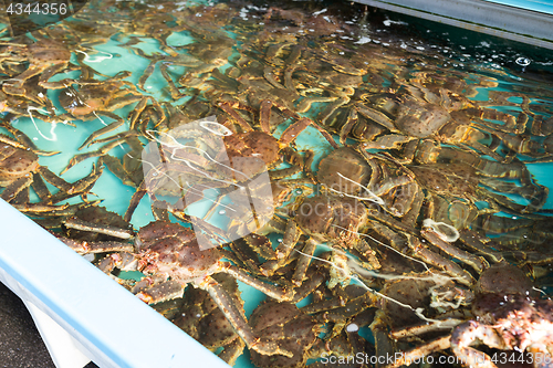 Image of Fresh crab in fish market