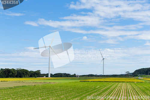 Image of Wind turbine and field with sunny day