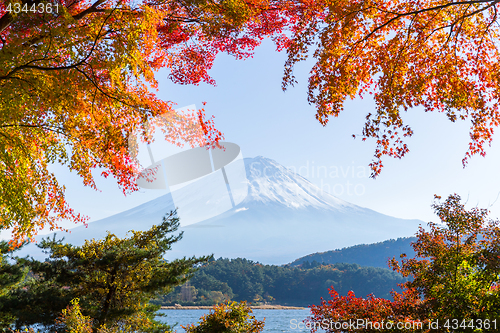 Image of Autumn season and Mount fuji