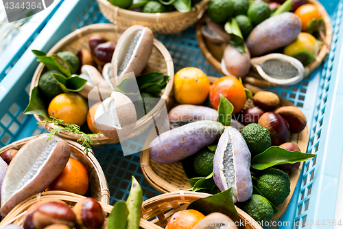 Image of Variety of organic vegetables and fruits