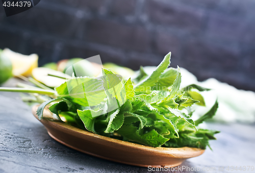 Image of ingredients for mojito