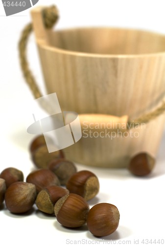Image of hazelnuts and wooden basket