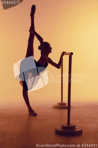 Image of The young ballerina stretching on the bar