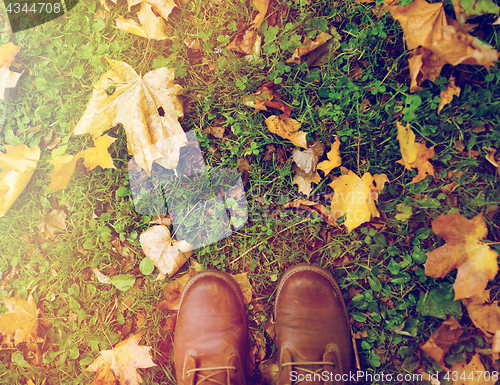 Image of feet in boots and autumn leaves on grass