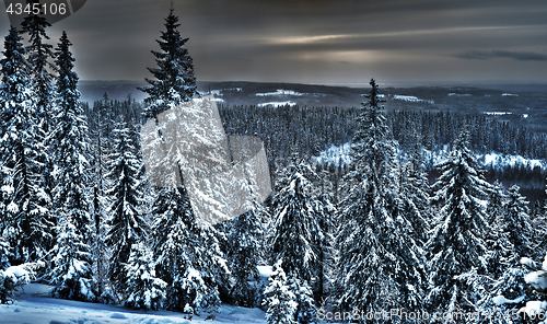 Image of view of the winter forest in northern Finland, hdr photo