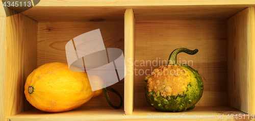 Image of two decorative pumpkins