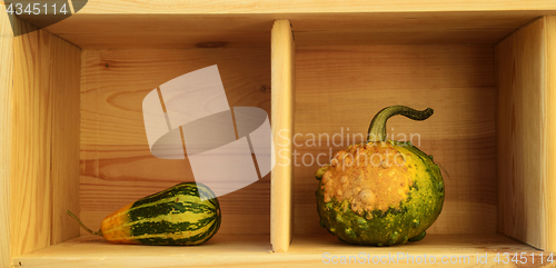 Image of two decorative pumpkins