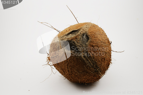 Image of coconut look like a human face