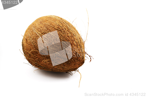Image of ripe coconut on the white background