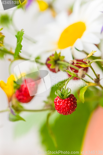 Image of Summer bouquet of forest flowers and strawberries