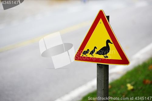 Image of road sign, ducks passing the road