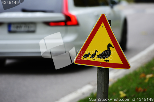 Image of road sign, ducks passing the road