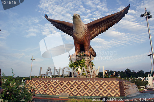 Image of Big eagle