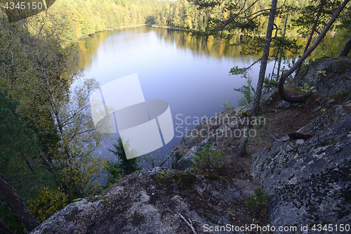 Image of view from above on a forest lake