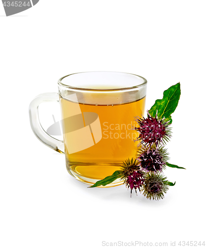 Image of Tea herbal with burdock in mug