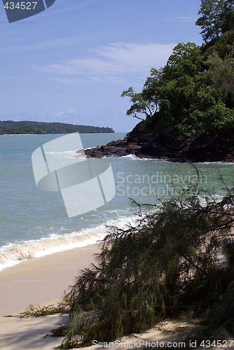 Image of Tree and sand