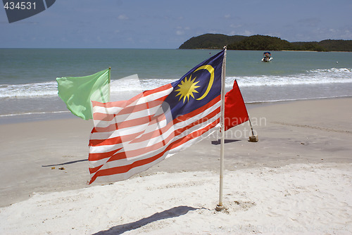 Image of Flags