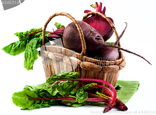 Image of Fresh Young Beet