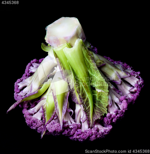 Image of Fresh Purple Cauliflower